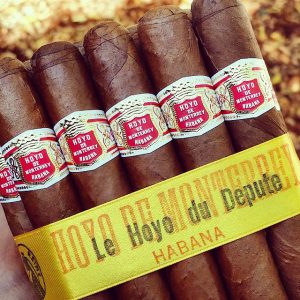 Hoyo De Monterrey Cuban Cigars
