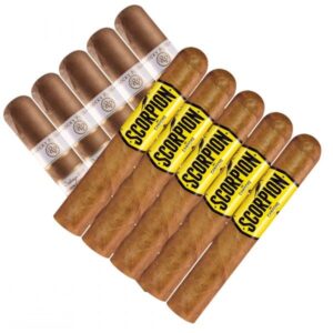 Double Stack Rocky 99 vs Camacho Scorpion Connecticut Big Ring