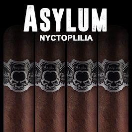 Asylum Nyctophilia