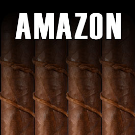 CAO Amazon Basin