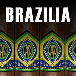 CAO Brazilia