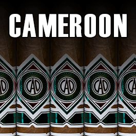 CAO Cameroon