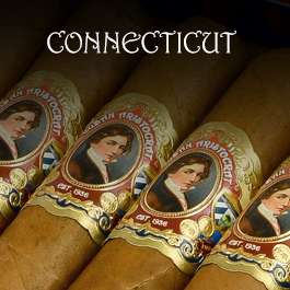 Cuban Aristocrat Connecticut