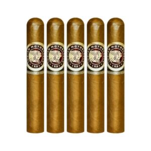 Indian Motorcycle Shade Robusto