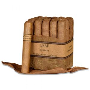 Leaf by Oscar Gordo Connecticut