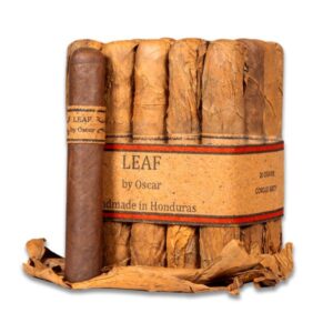 Leaf by Oscar Gordo Corojo