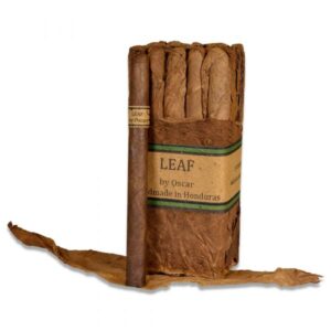 Leaf by Oscar Lancero Maduro