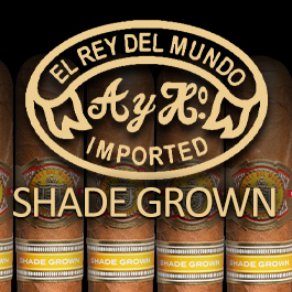 El Rey Del Mundo Shade Grown