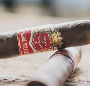 Hoyo De Monterrey El Torcedor