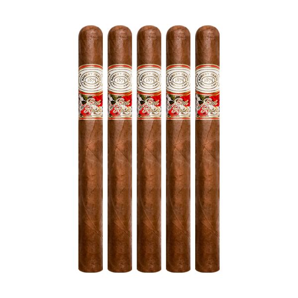 Romeo Y Julieta Bed of Roses Churchill