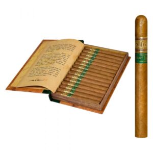 Saga Short Tales Tomo V ? Lancero